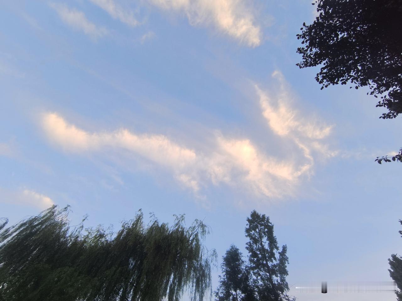 本人励志起得早
悠哉漫步林荫道
昂首忽见天上云
恰似神龙空中飘
昂首张嘴显龙威