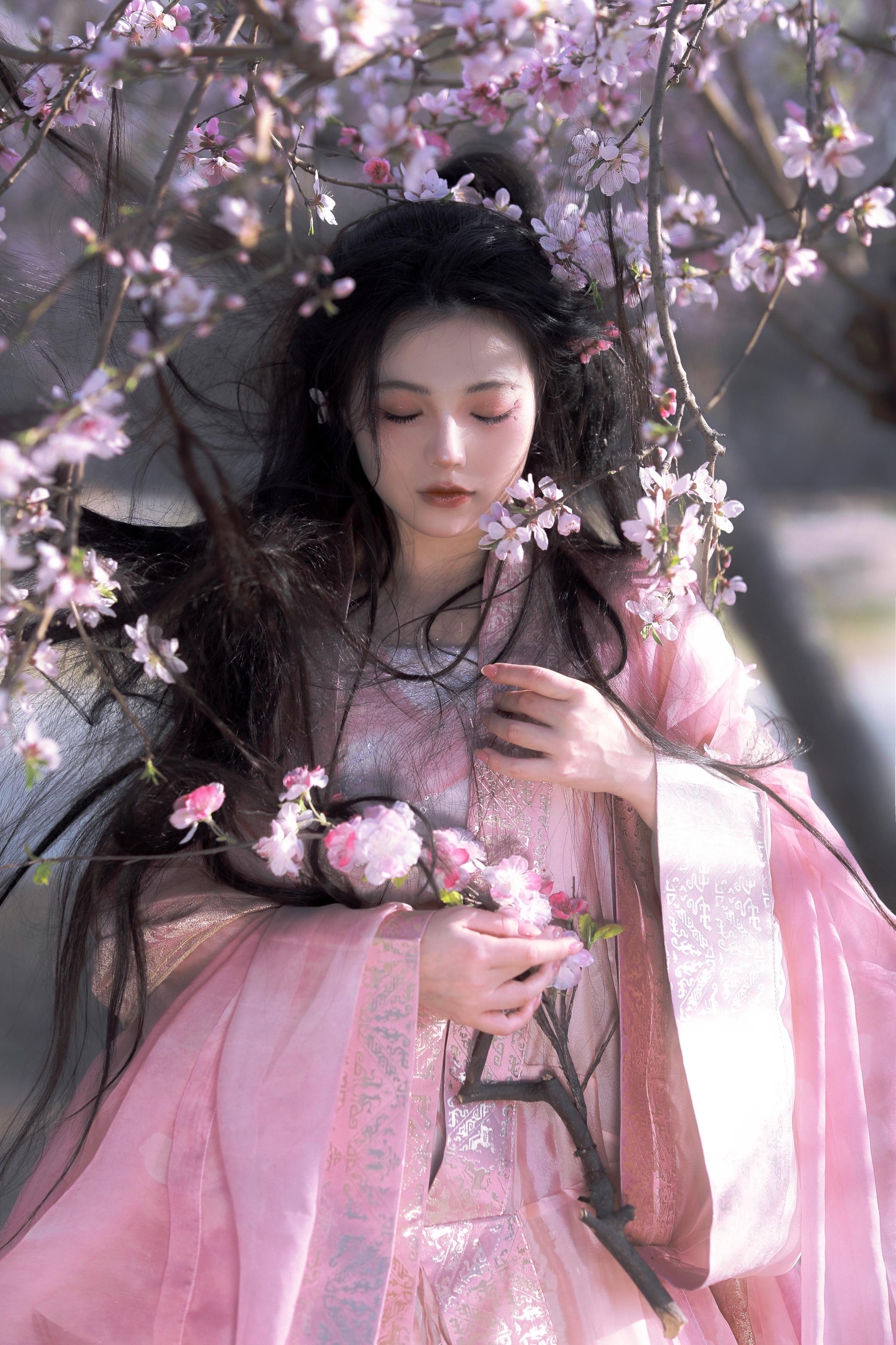 人 面 桃 花。