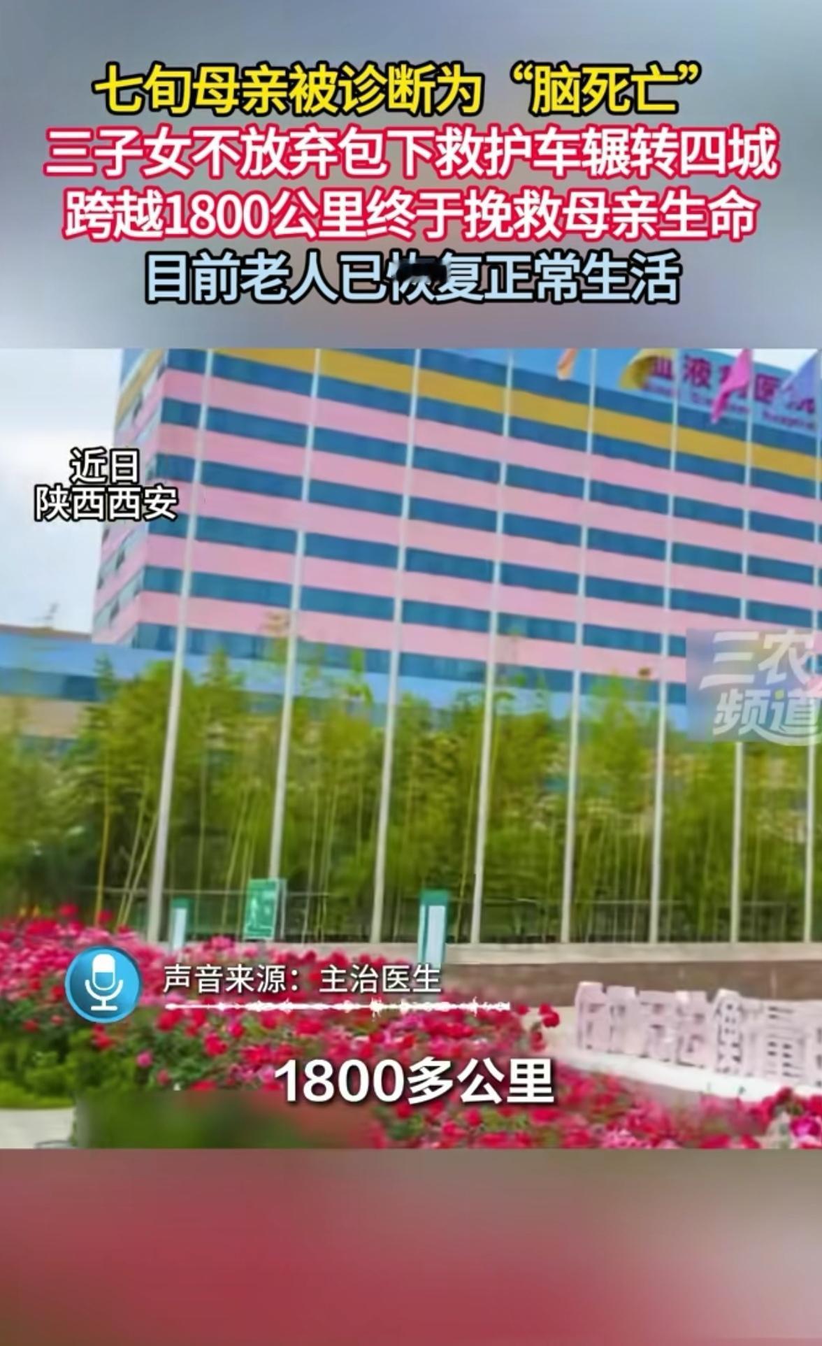 泪目！
甘肃一7旬老人被判“脑死亡”，
可子女不信邪，花4万包了辆救护车，跨越