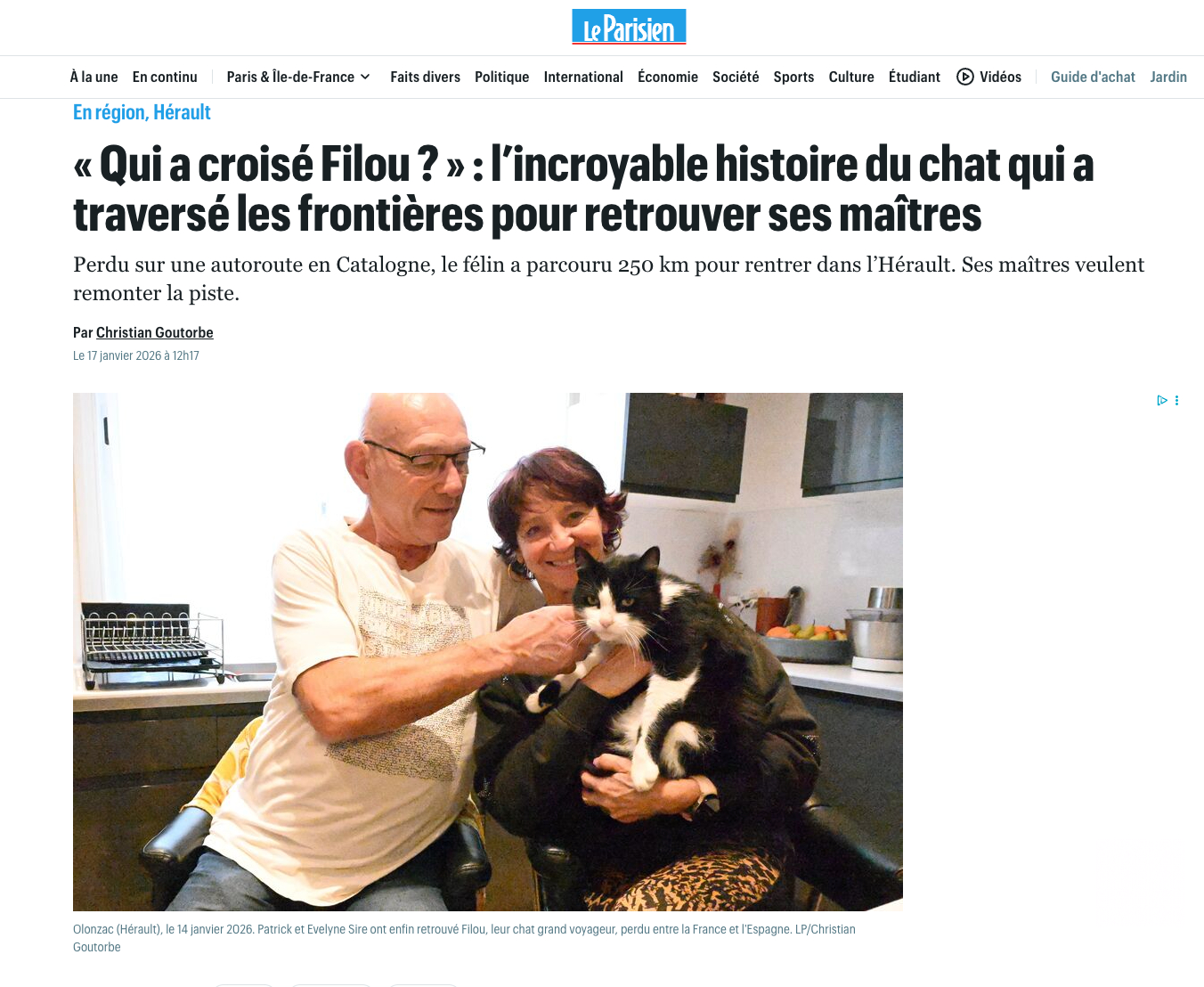 【法国奶牛猫徒步250公里回家】一只名叫菲卢的奶牛猫，完成了一场不可思议的“徒步