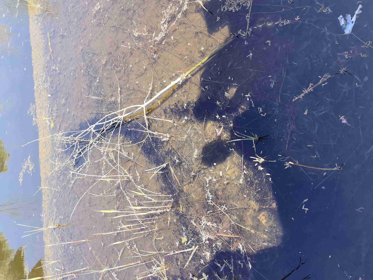 我的今日状态：💰期待暴富
我这里的天气：☀️晴天