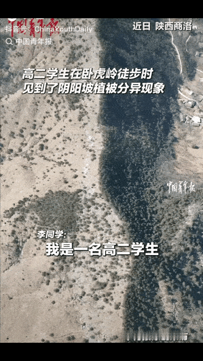 太神奇了！陕西商洛，一名高二男生去卧虎岭徒步，本来只是随便走走看看，没想到用无人