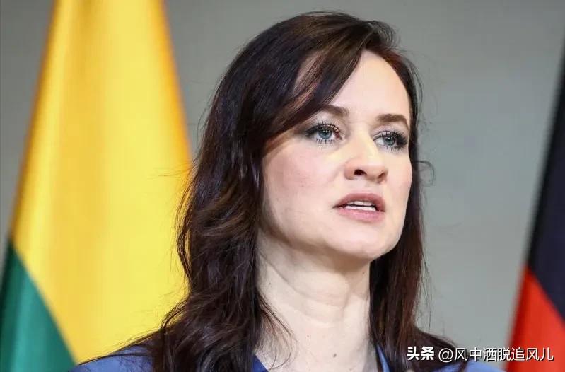 新加坡《联合早报》最近点破了东欧政坛的微妙转向。当年高调蹭台湾议题的两个东欧国家