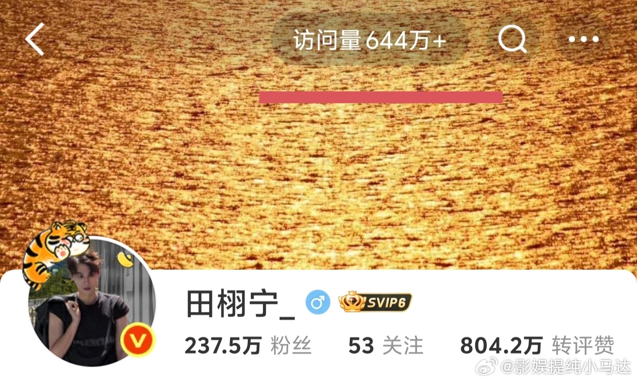 田栩宁访问量我觉得不仅田栩宁，梓渝也是一样爆得很。但这样的火说实话有点搞得我莫名