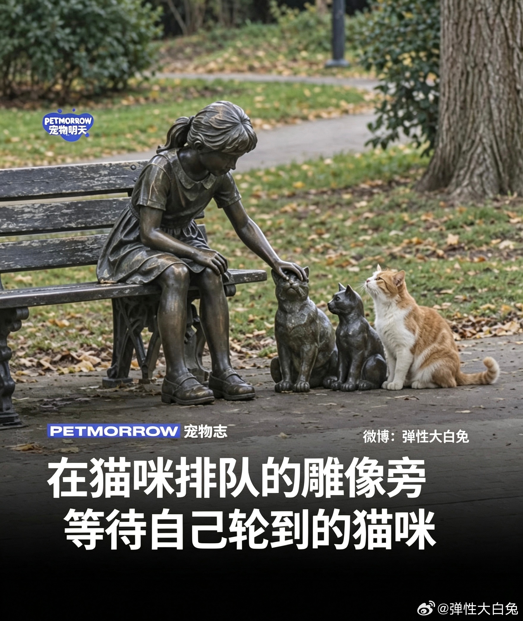 等待被摸摸的猫咪🐱 ​​​