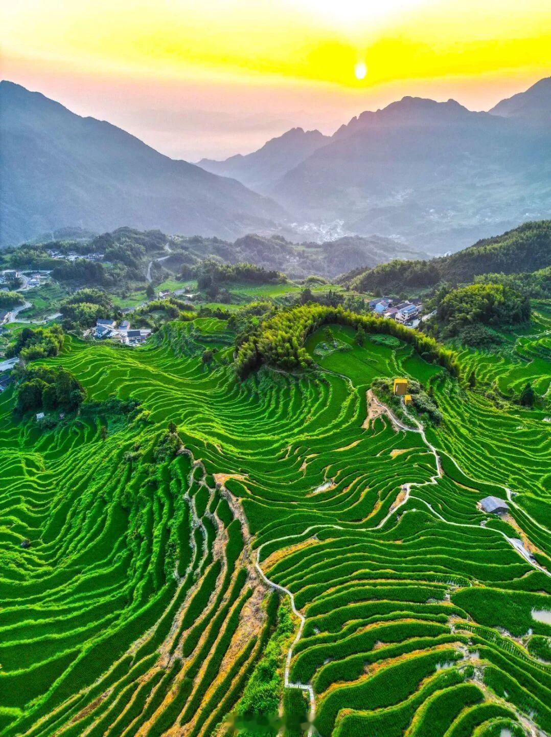 来丽水做我的合伙人一半绿水青山，无限发展机遇，来丽水，做彼此的合伙人。 这就是丽