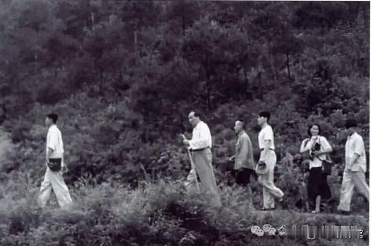 1959年，毛主席拜谒父母墓的旧影
这组照片完整记录了他的行程：先是他拄着拐杖缓