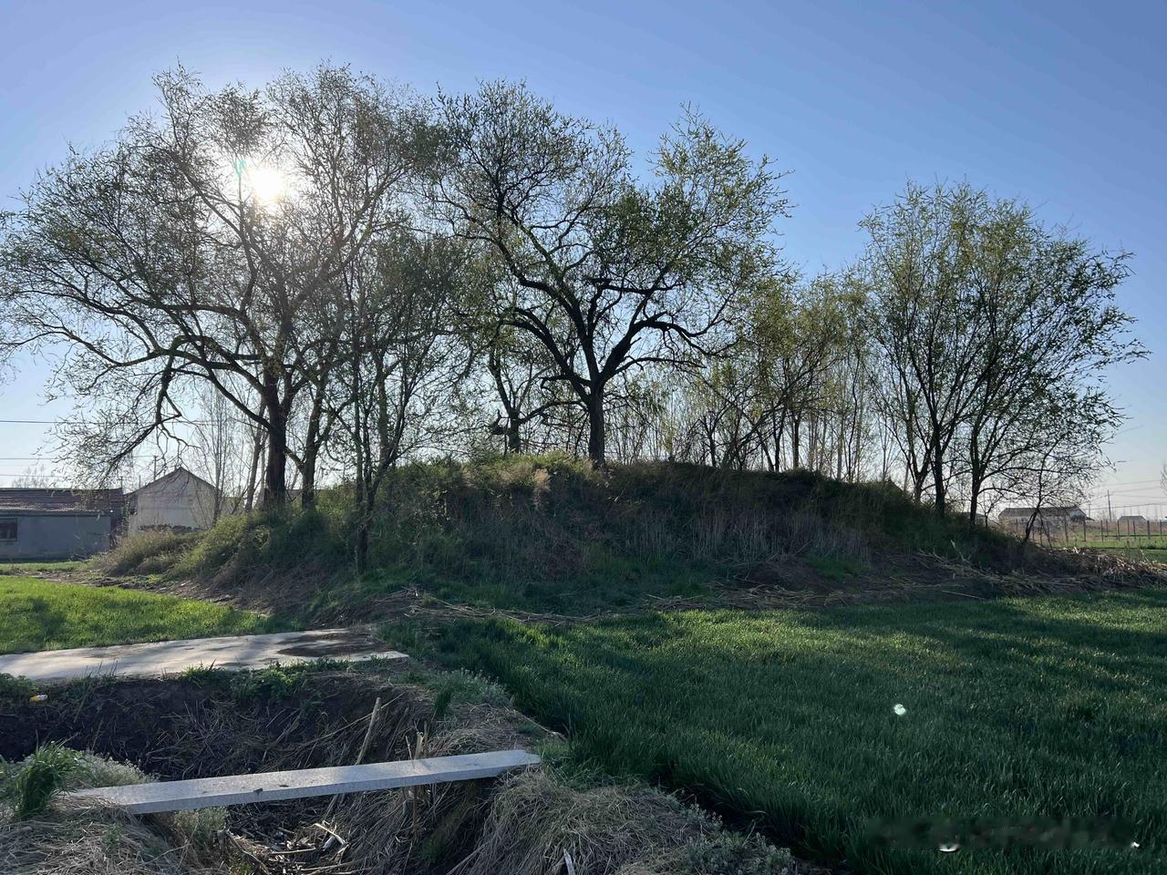 山东淄博高青县芦湖街道崔家村村西有座崔姑台，是高青县县级非物质文化遗产！不远处还