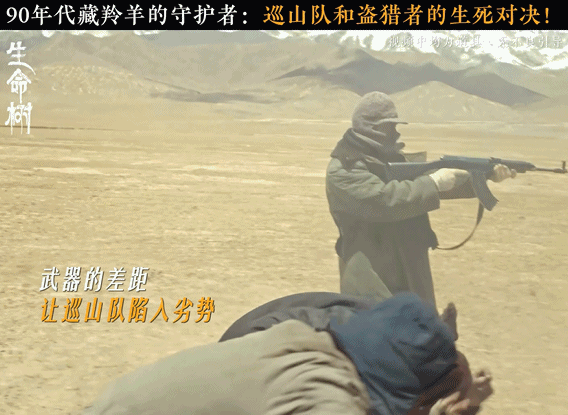 生命树两集讲完枪战盗猎命案 追剧根本停不下来！剧情全程无尿点，两集讲完核心命案，