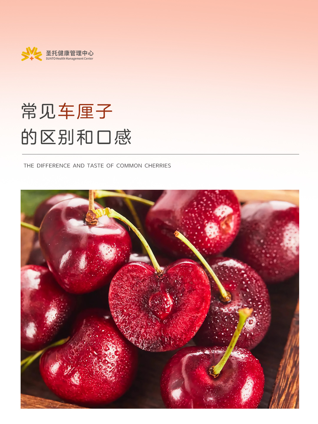 常见车厘子🍒｜甜度｜营养价值及储存方法