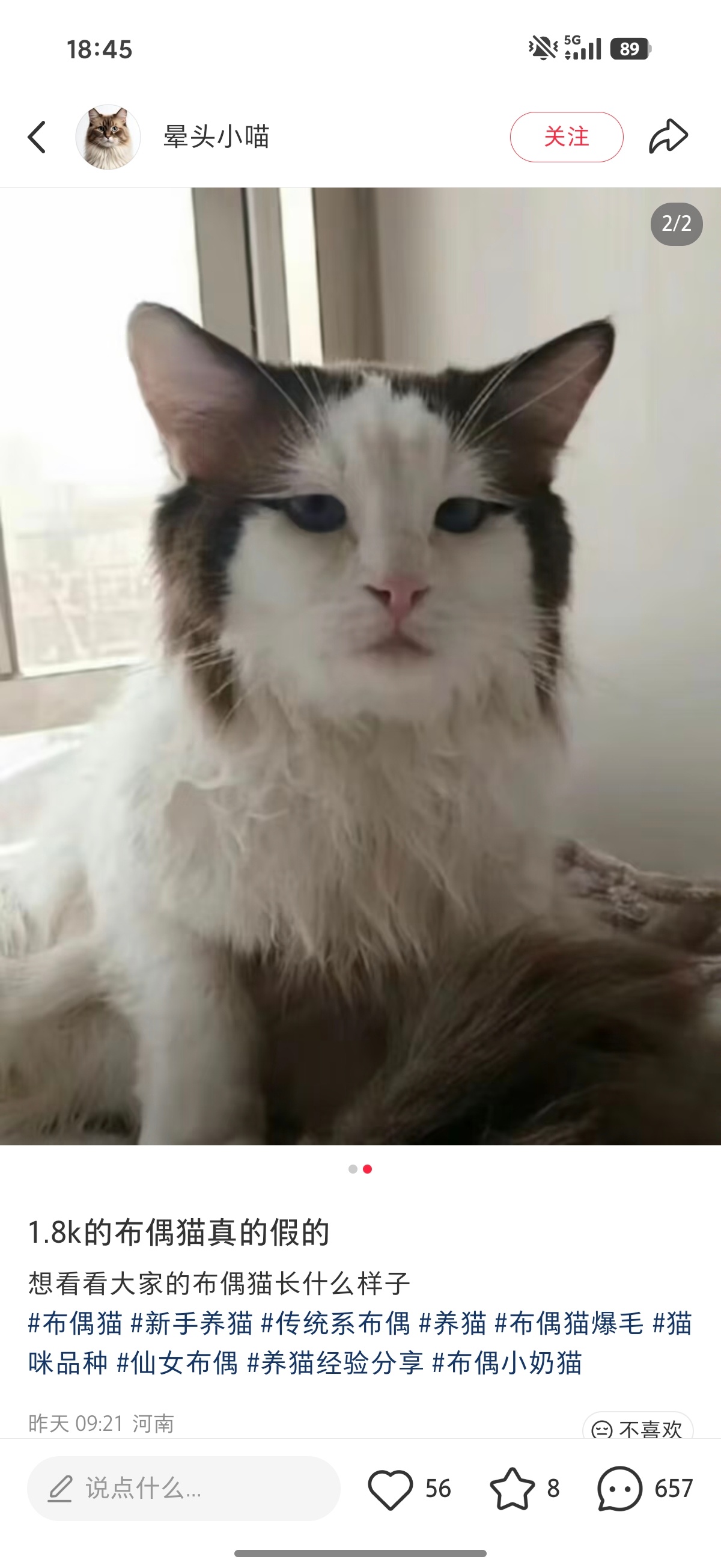 像不像？ 