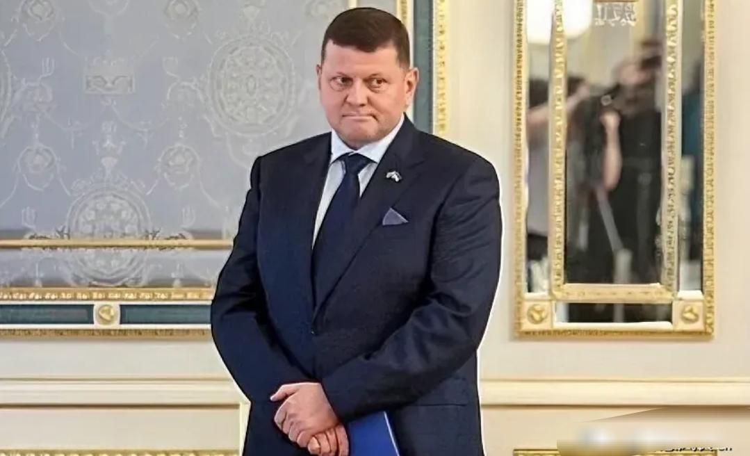 【乌驻英大使扎卢日内称乌英签署太空领域合作备忘录】
3月18日，乌克兰驻英国大使