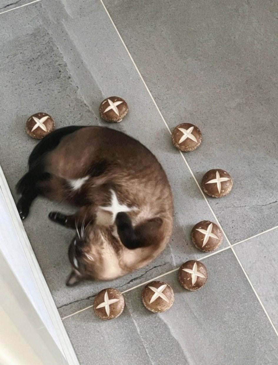 哇 ​​​