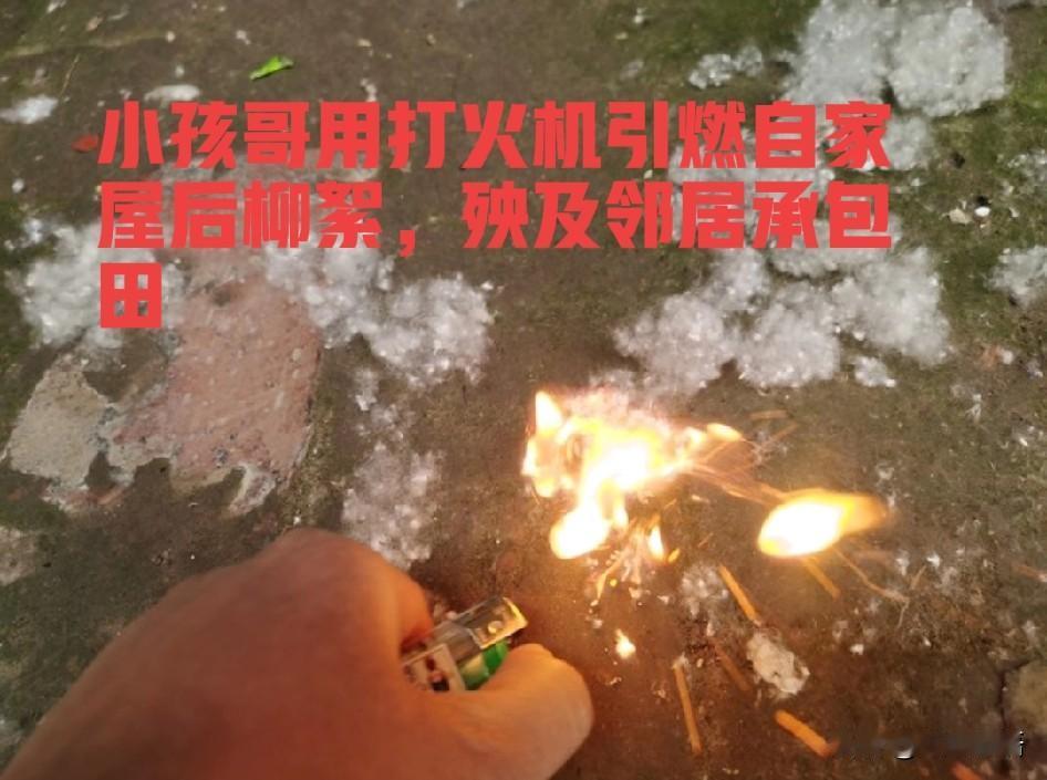 小孩哥点燃屋后柳絮，引燃邻居家承包地，树木围网过火邻居索赔30万，法院判赔11万