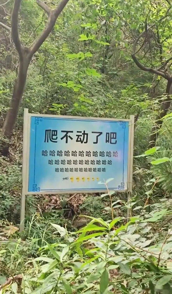 你爬泰山的时候有没有见过这个牌子？这个指示牌被拆了，因为它嘲笑游客：“爬不动了吧