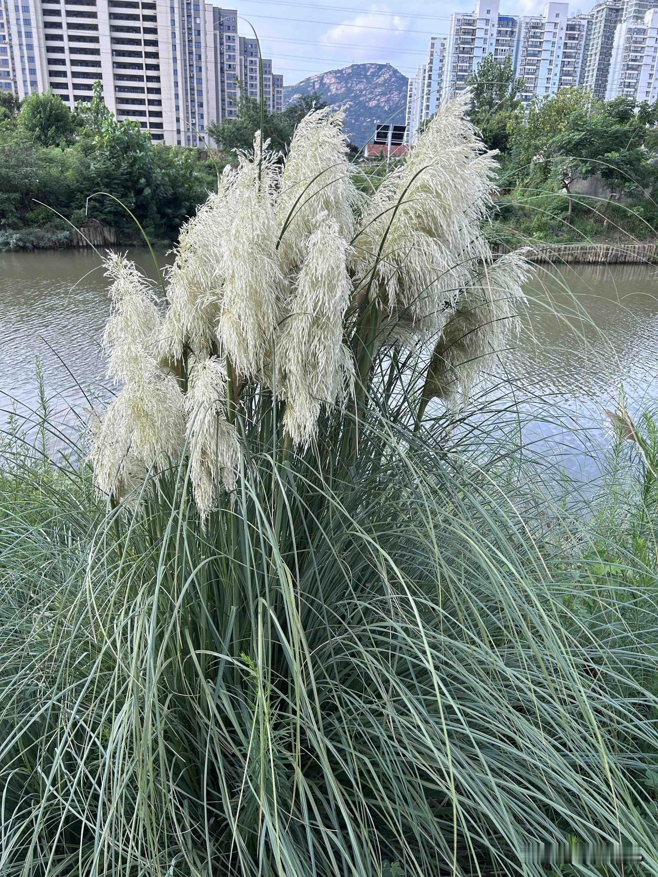 我今年55岁，突然无比厌恶老公，我到底怎么了？

我是70年的，今年已经55岁了
