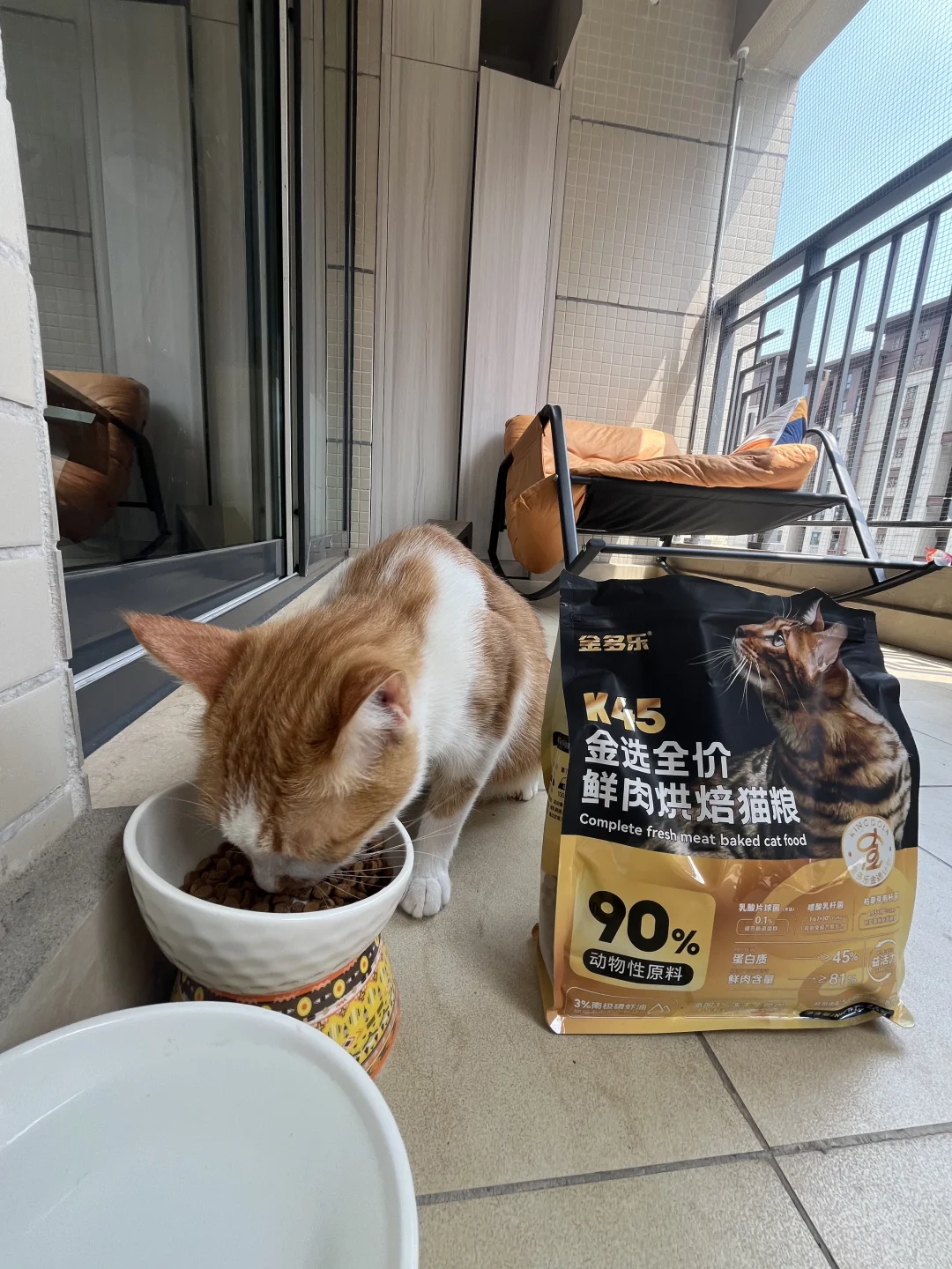 满足猎食天性，全面营养呵护！金多乐K45烘焙