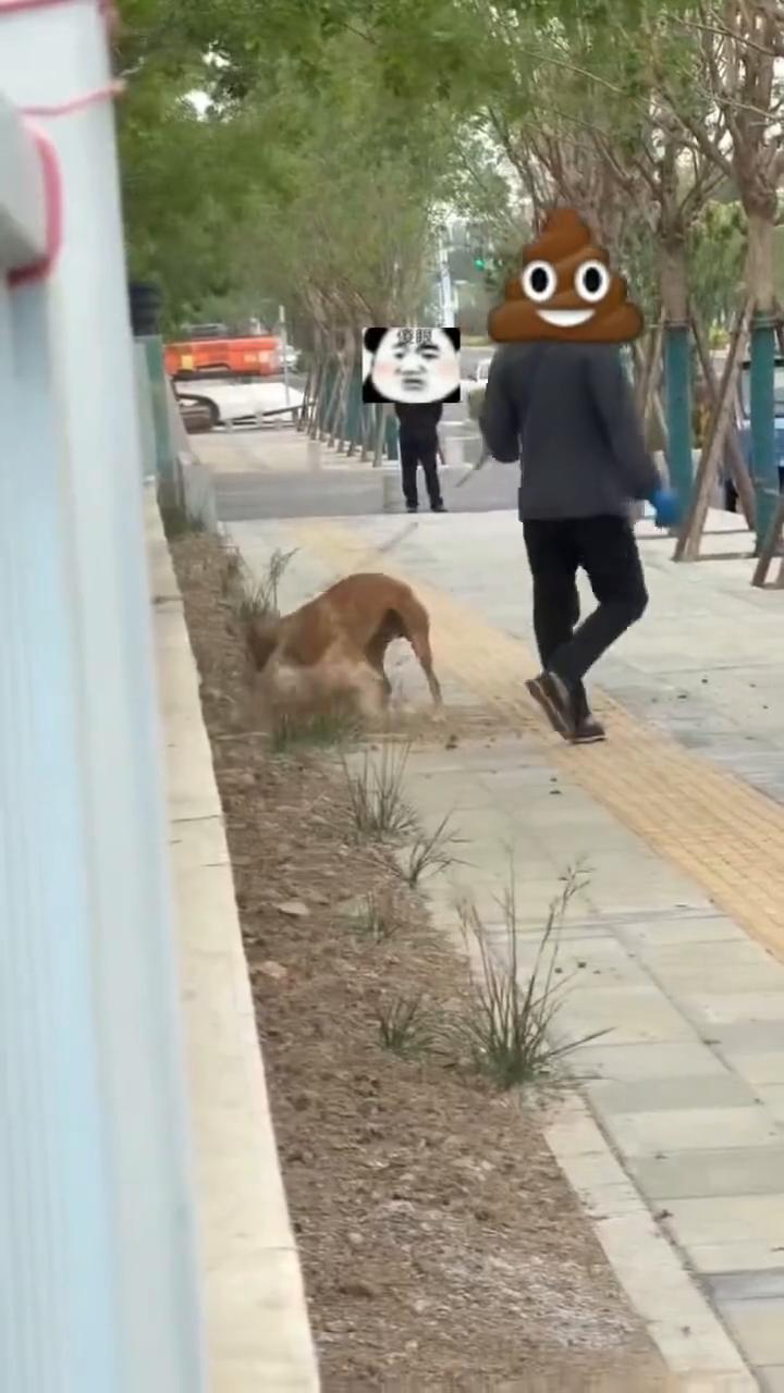也不是正规，也不是说你管着。