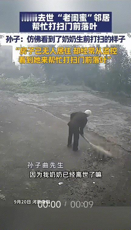 河南南阳一男子通过监控看奶奶生前老宅，发现感人一幕。奶奶去世三年，老屋一直空着，