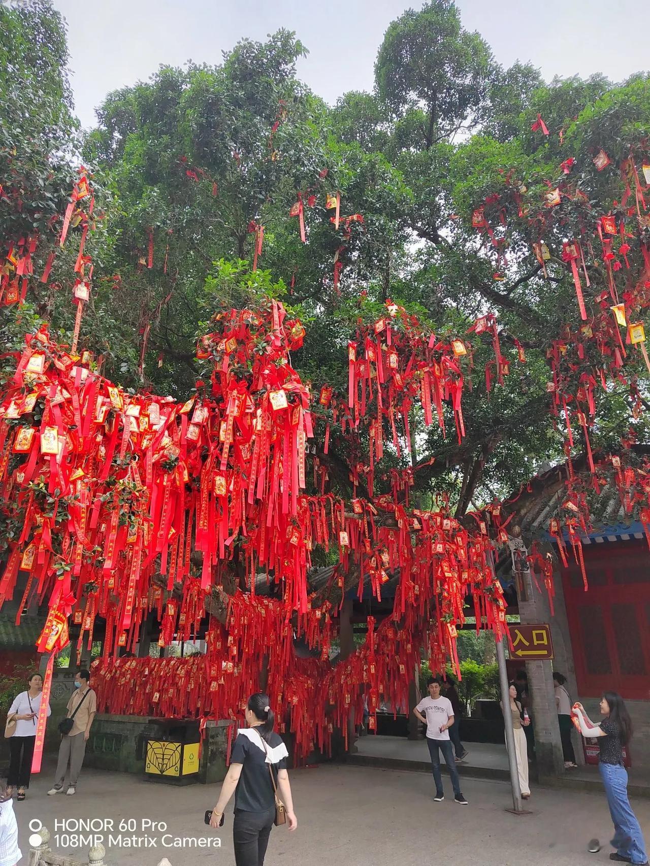 游新兴六祖庙（国恩寺）有感几点：
1.生不由己，解脱在我，不要被世俗缠绕。
2.