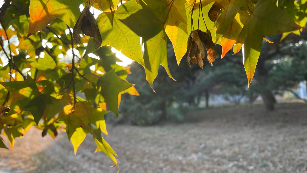 呵呵韩庄出名的东西很多！四不管的地方你明白的[赞][赞][赞][赞]