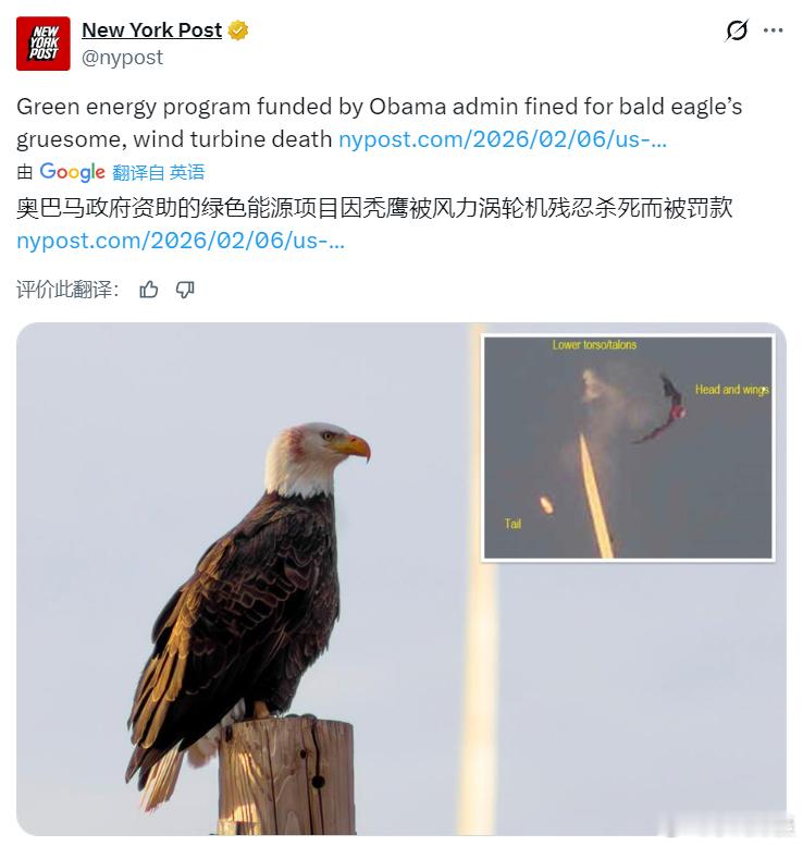 法国金融犯罪检察官告诉法新社，在爱泼斯坦 档案披露相关内容后，他们已对有影响力的