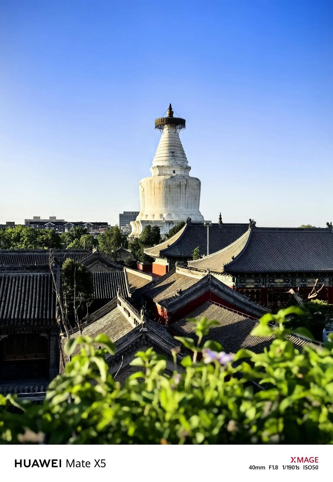 #一张图记录夏日生活#