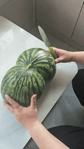 这瓜长得有点迷人