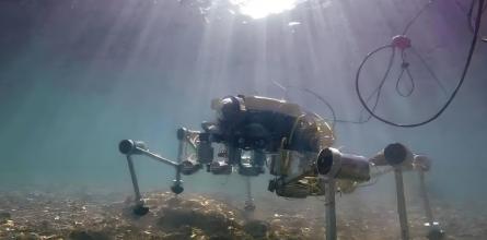 就在刚刚，日本全国上下欢呼雀跃。根据日本共同社2月2日消息，日本宣布，他们成功从