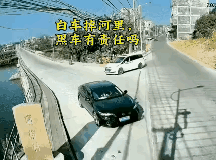 那么宽的路，白车直行或者转弯都可以，也不知道是睡着了还是吓傻了，抓着方向盘不知道