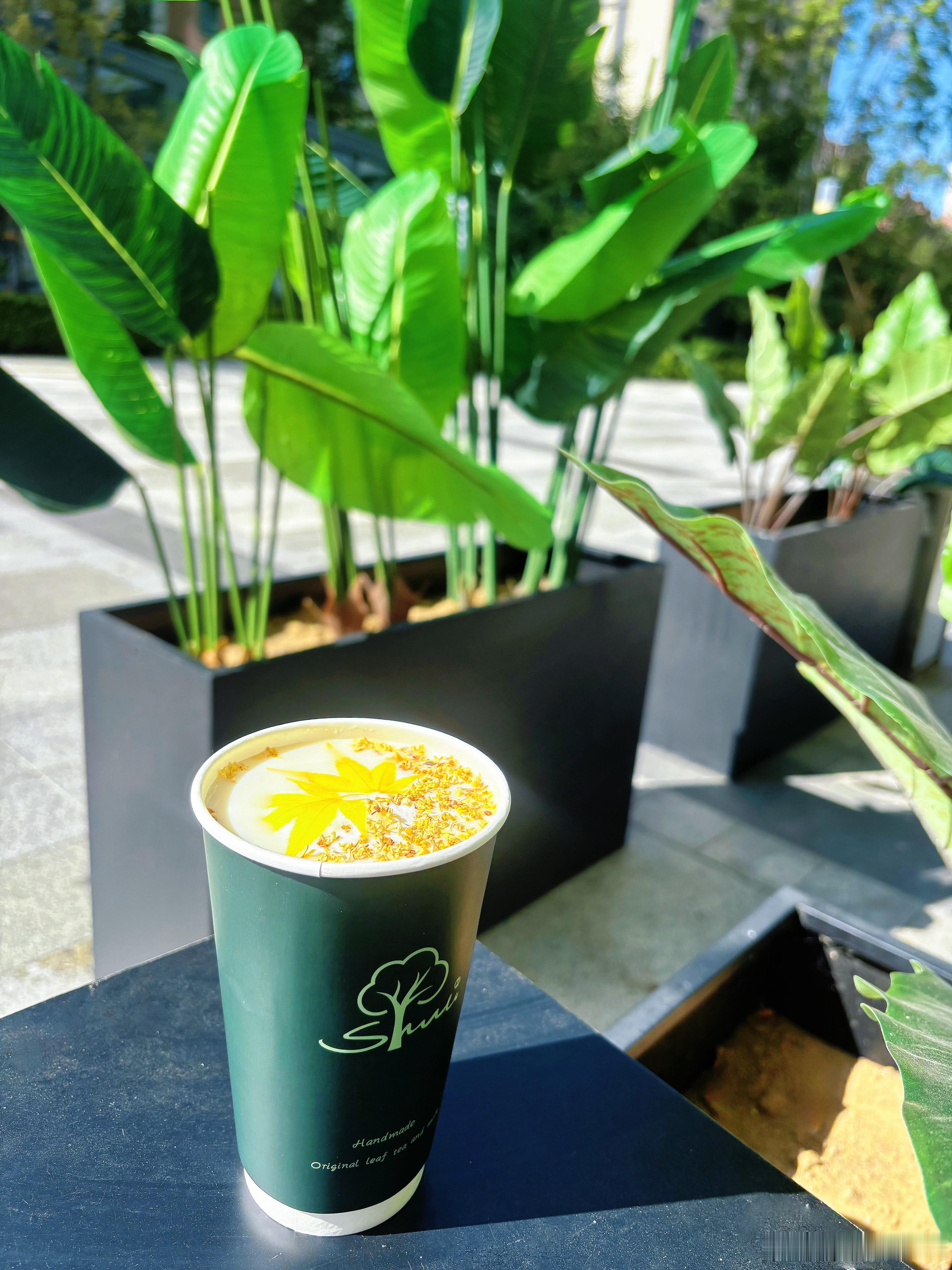 秋天的第一杯奶茶是奶轻食店姐姐请的奶茶立秋 ​​​