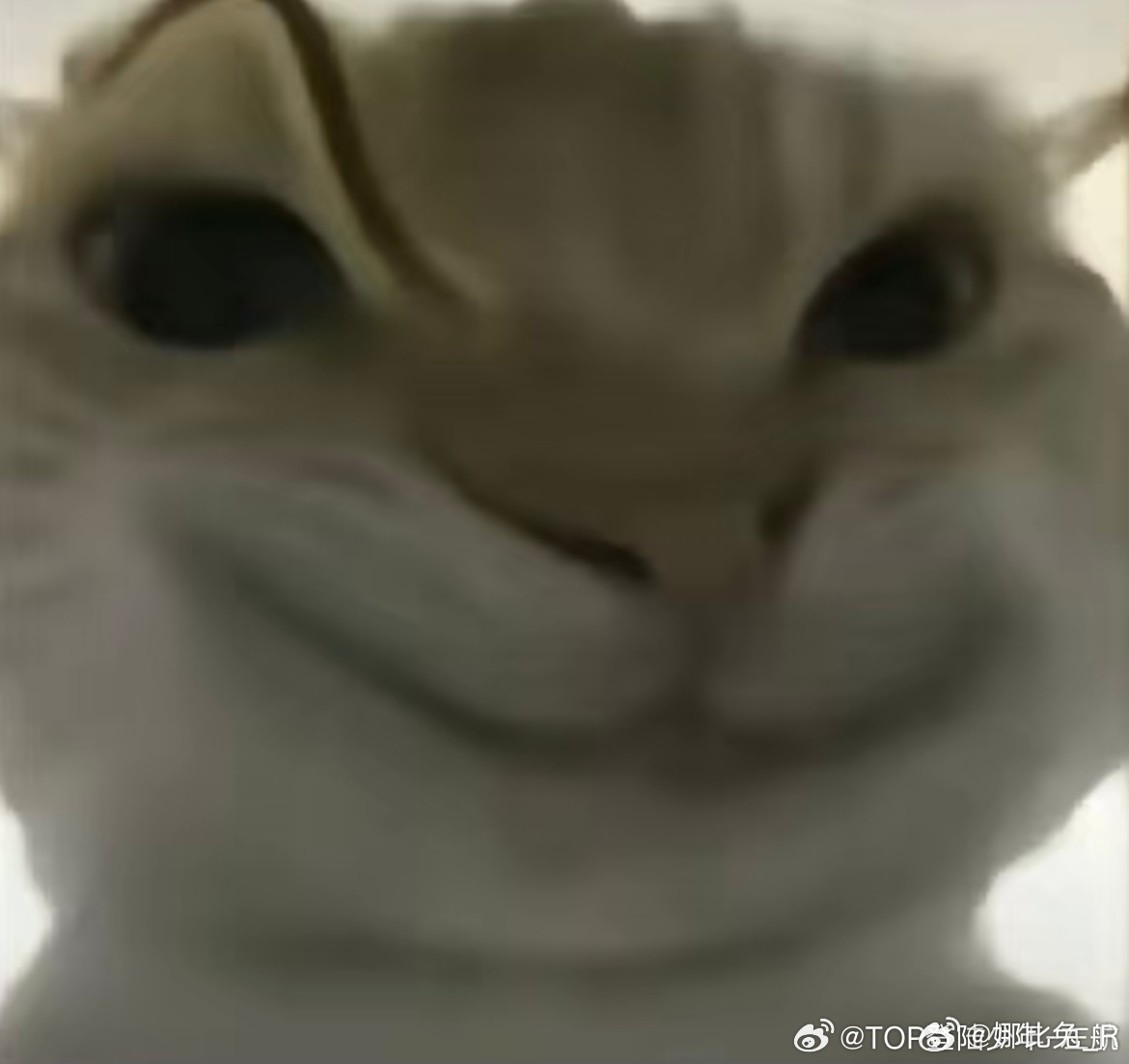 长期跟我一起🈷️人的有吗 直接评论就好每次都会带上 