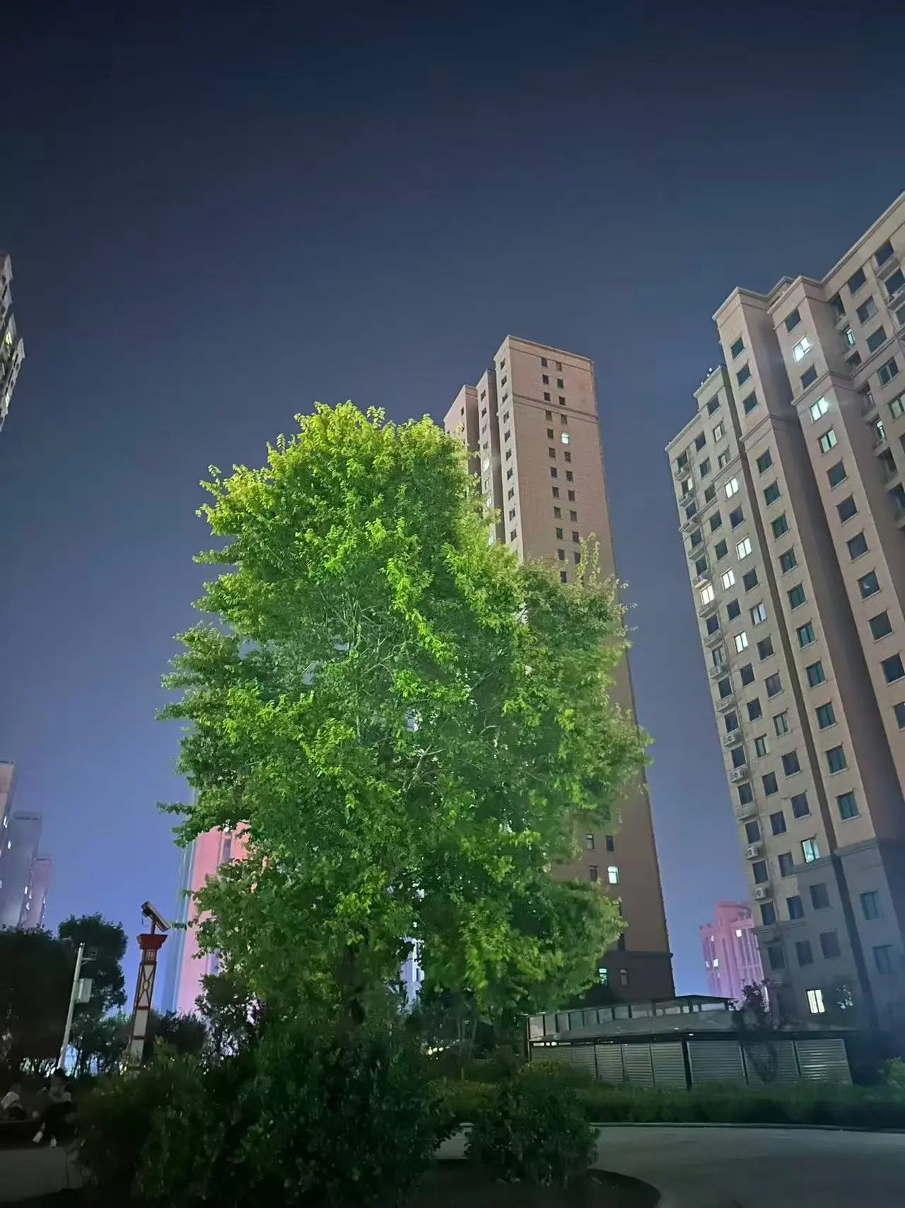这样的城市你喜欢吗 城市的一部分 城市的生活环境 城市生活气