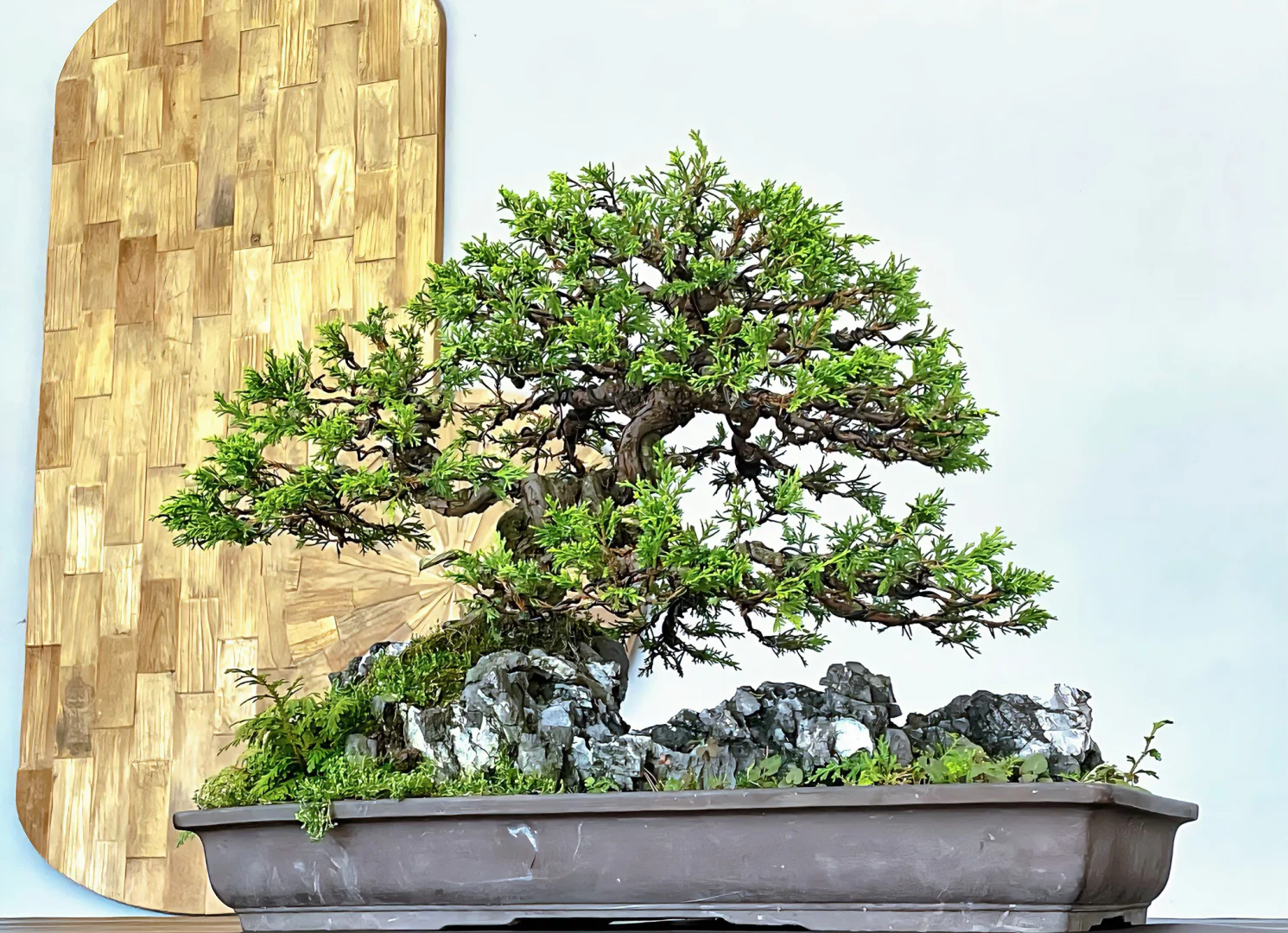 喜欢大自然啊～那就搬一座山回家