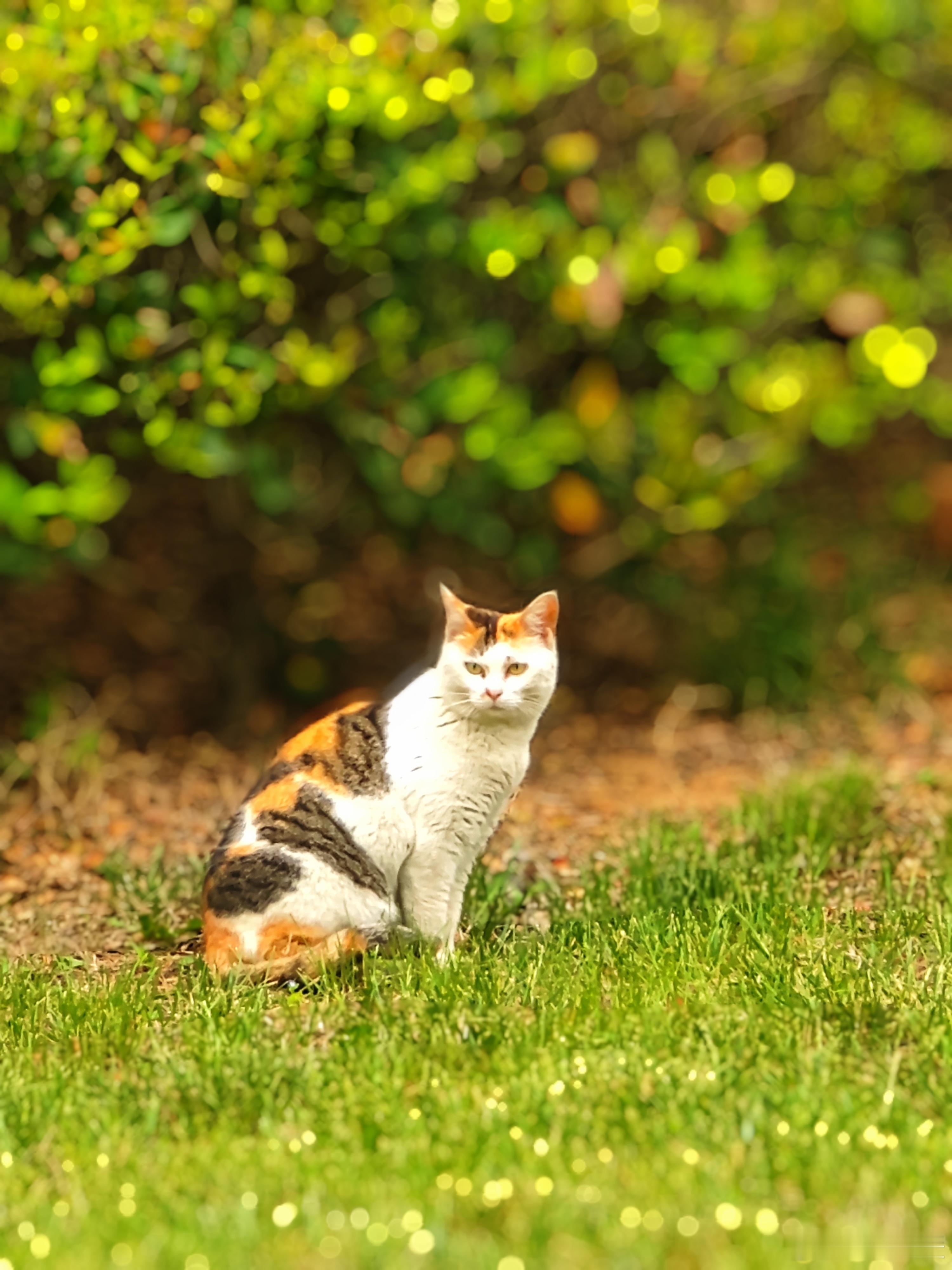 这怎么混招一个接一个啊？那这意思是戏里看演员卿卿我我，然后现实世界里又要玩换妻游
