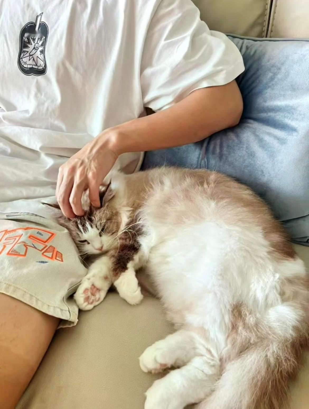 我也想依偎在这里💢 ​​​