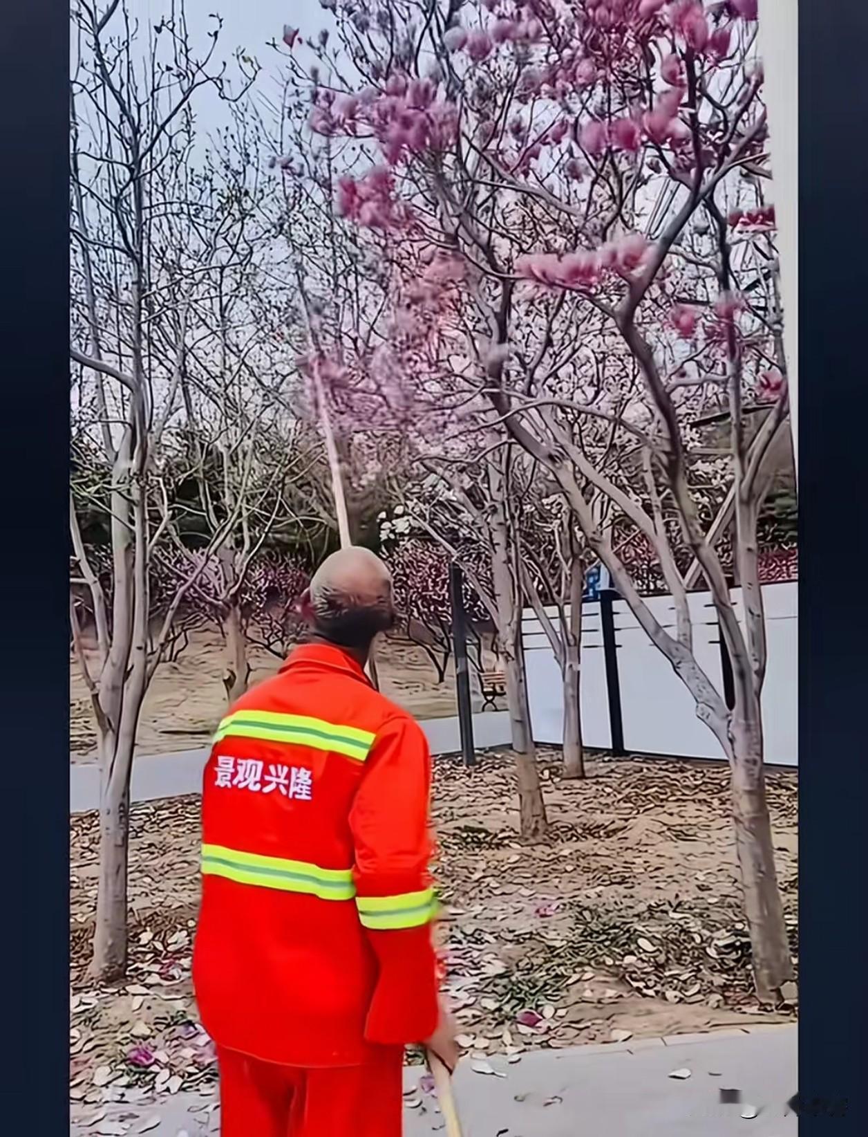 被开除的工作人员冤不冤？！我觉得冤死了。都市现场消息，景区说是为了打掉残花？那么