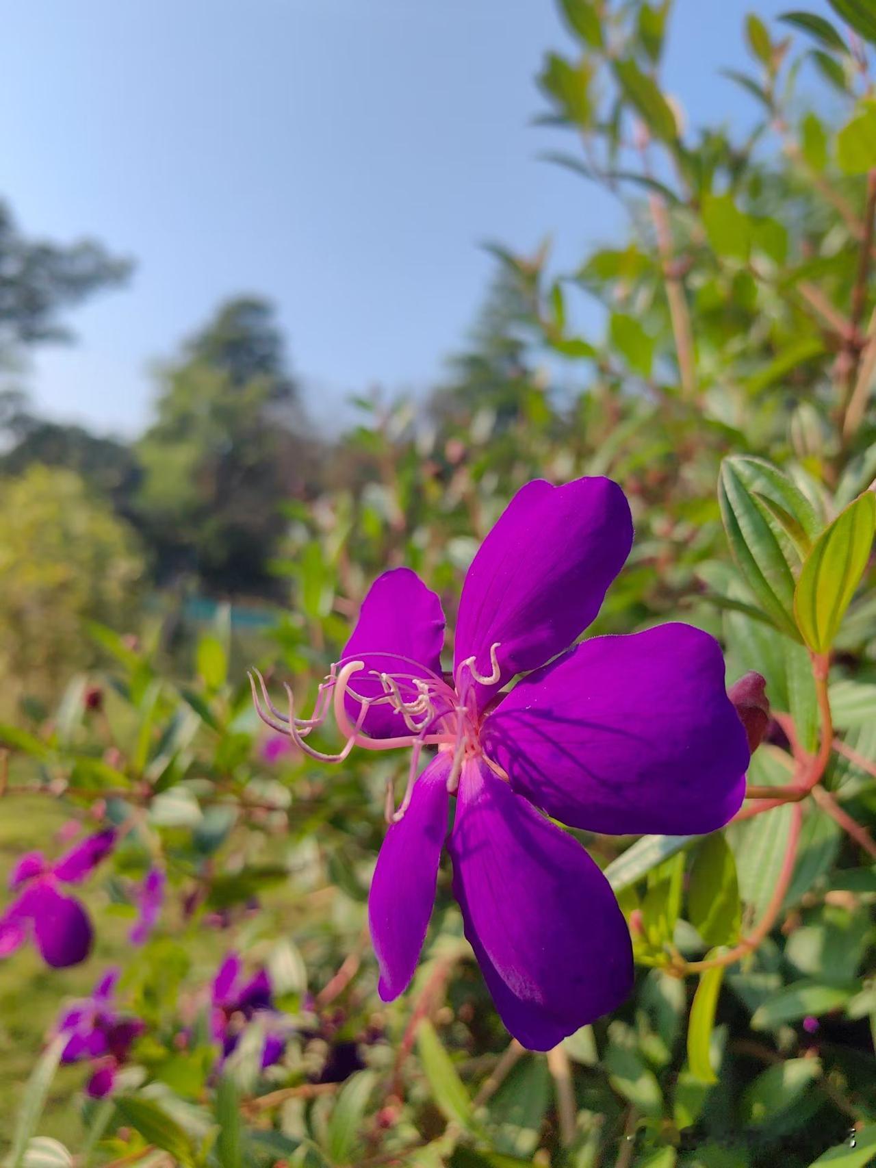 刚刚查了一下我余额，微信零钱居然有五位数，我很开心。
过去的一年，我得到了很多，