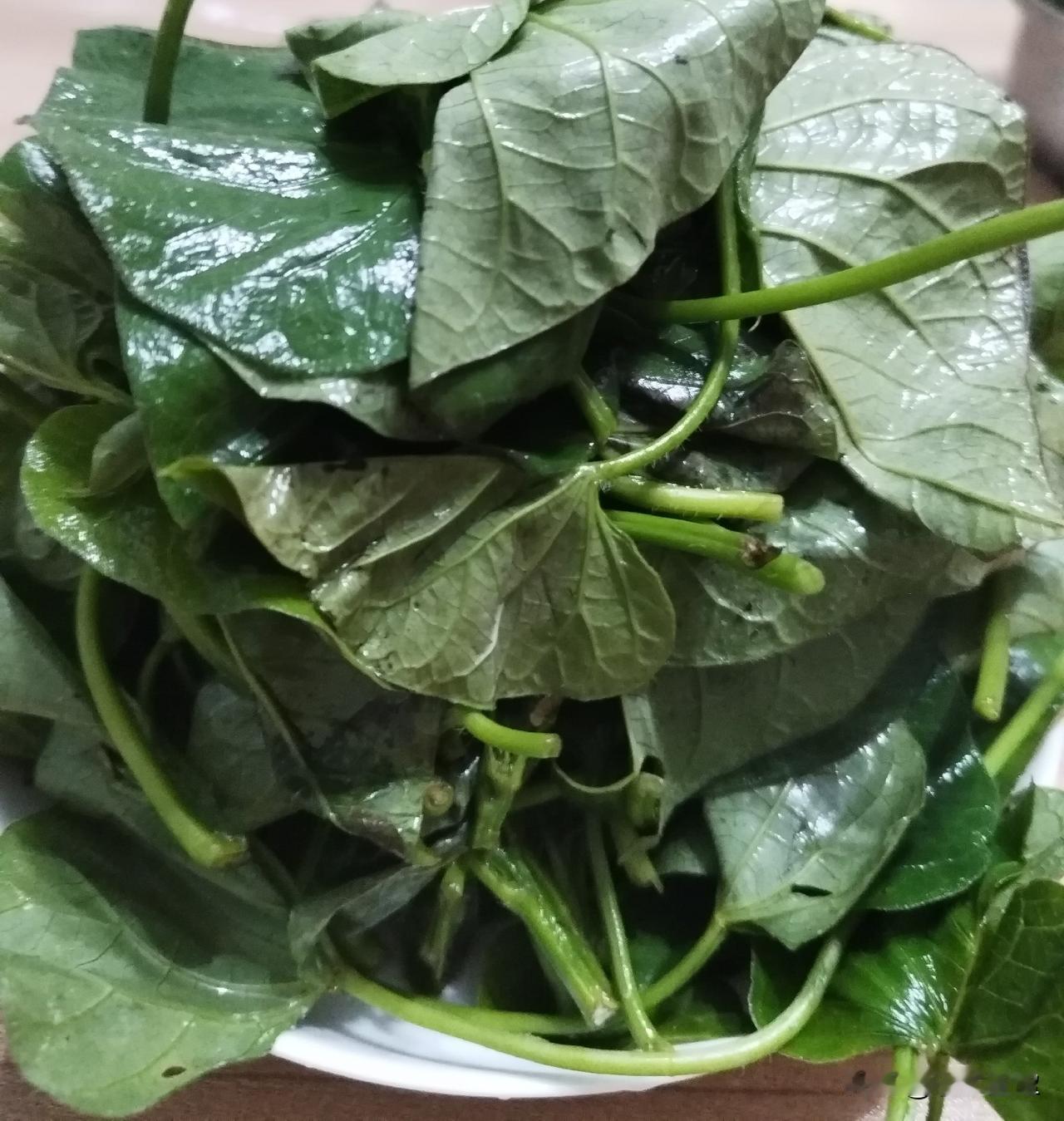 好邻居送来一个布兜子，鼓鼓囊囊地，她神秘兮兮地说：“给你一样好东西，我上午去平度