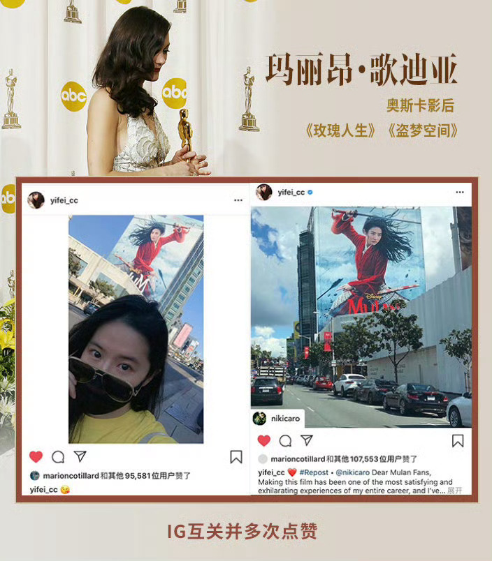 好莱坞奥斯卡影后都爱看的电影，刘亦菲的大电影