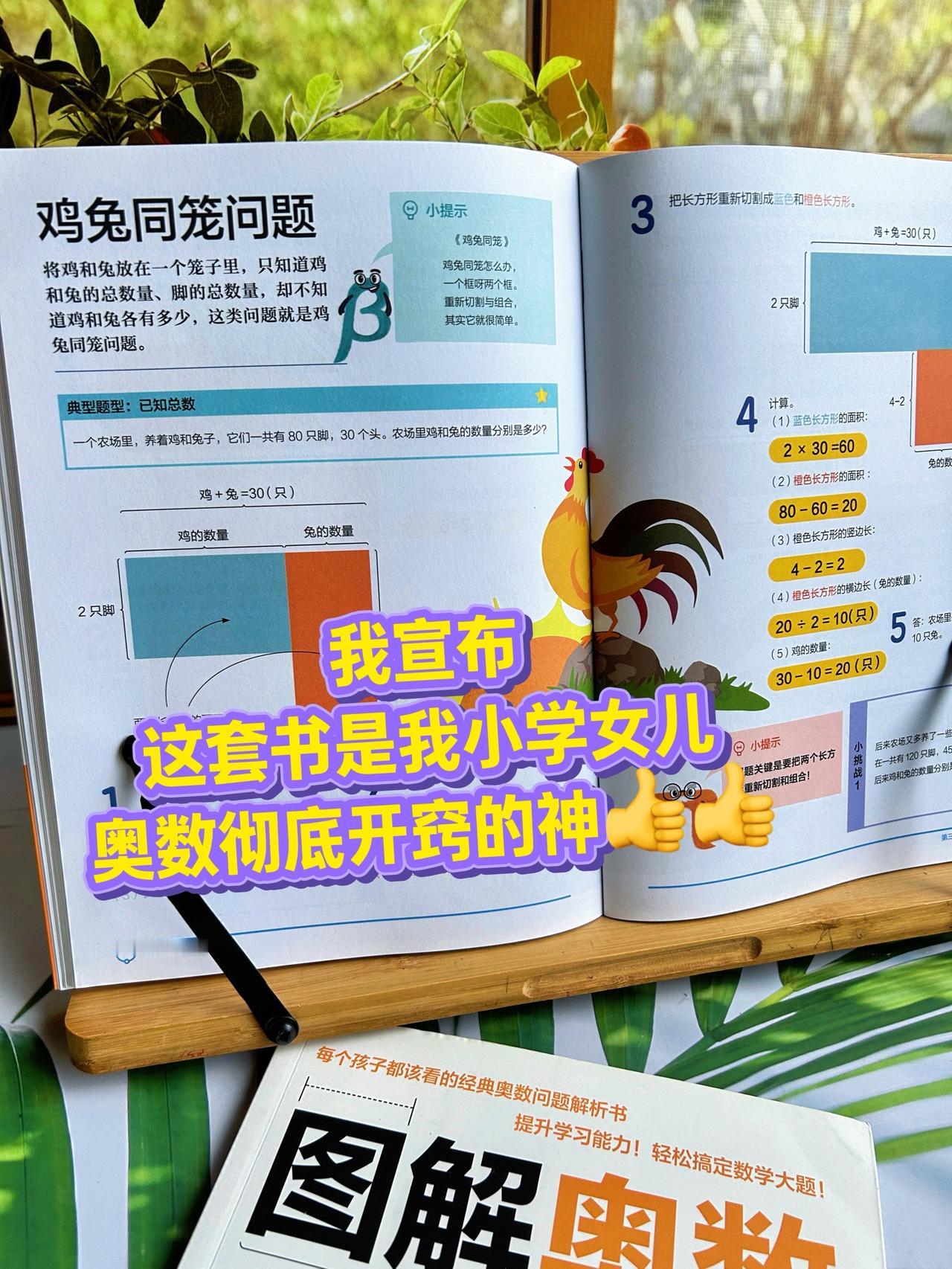 用图解的方法学习奥数，儿子说原来奥数一点也不难！
这套书画图解答经典奥数题型，十