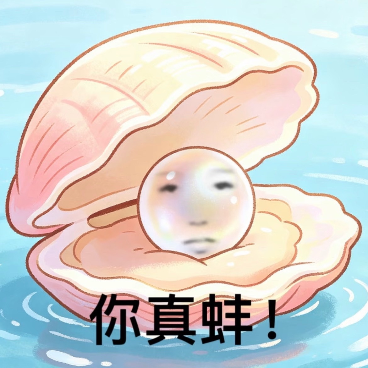 就我觉得“蒸蚌” 这个粉丝名字很好听嘛😋 