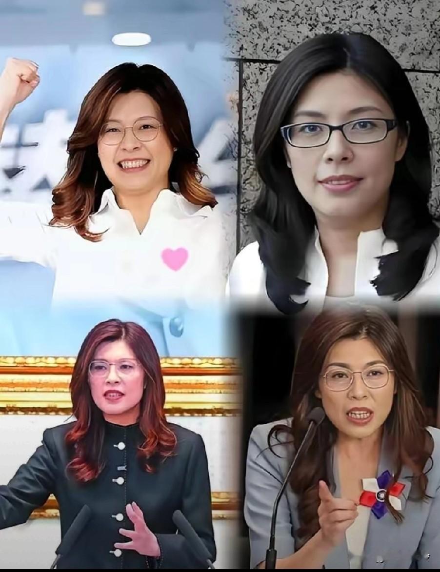 郑丽文想去美国，美方行政部门拒绝安排高层会面，对于没用的人，特朗普根本懒得搭理！