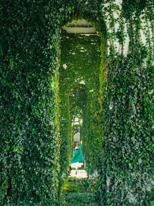 用上海3个超出片的绿野仙踪，打开浪漫盛夏！