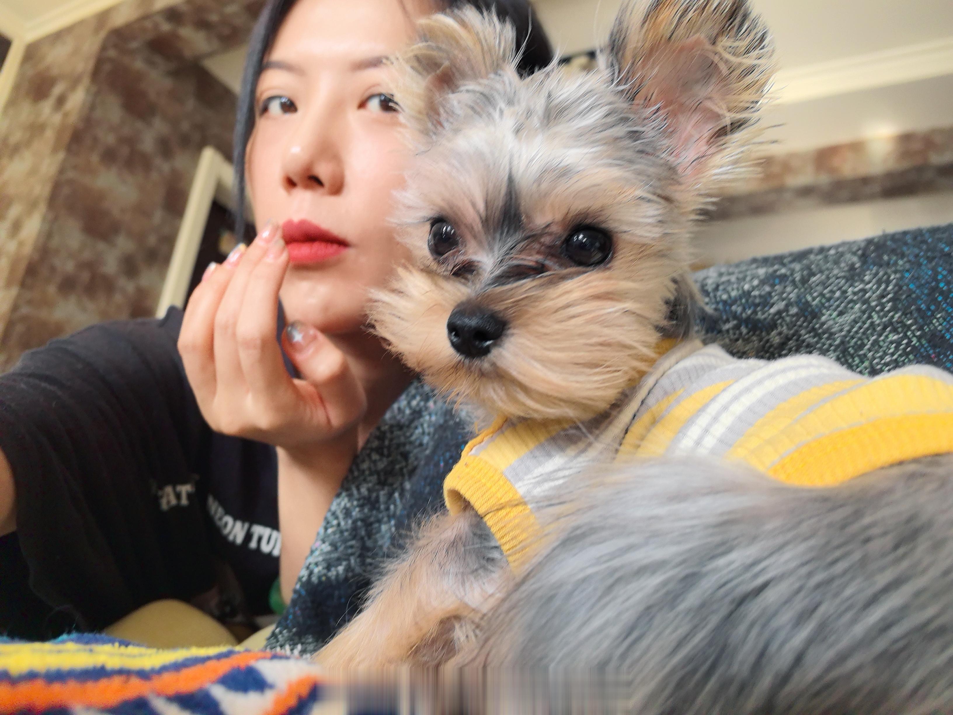 我本来说今天不吃舂鸡脚了，明天吃，大嫂说你要吃你就今天吃，明天别吃，我说为撒，他