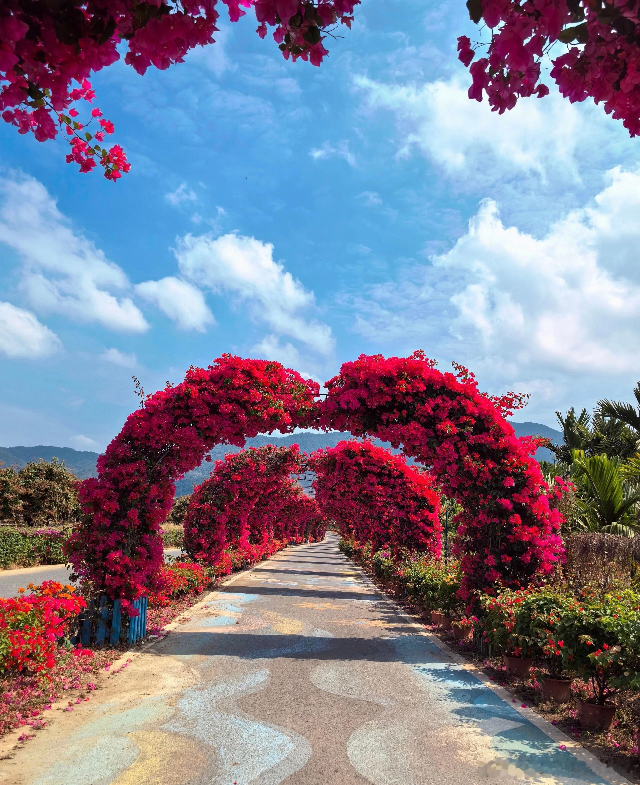 要把专利职能从成本中心转变为利润中心意味着专利职能的全面战略转型，包括以下内容：