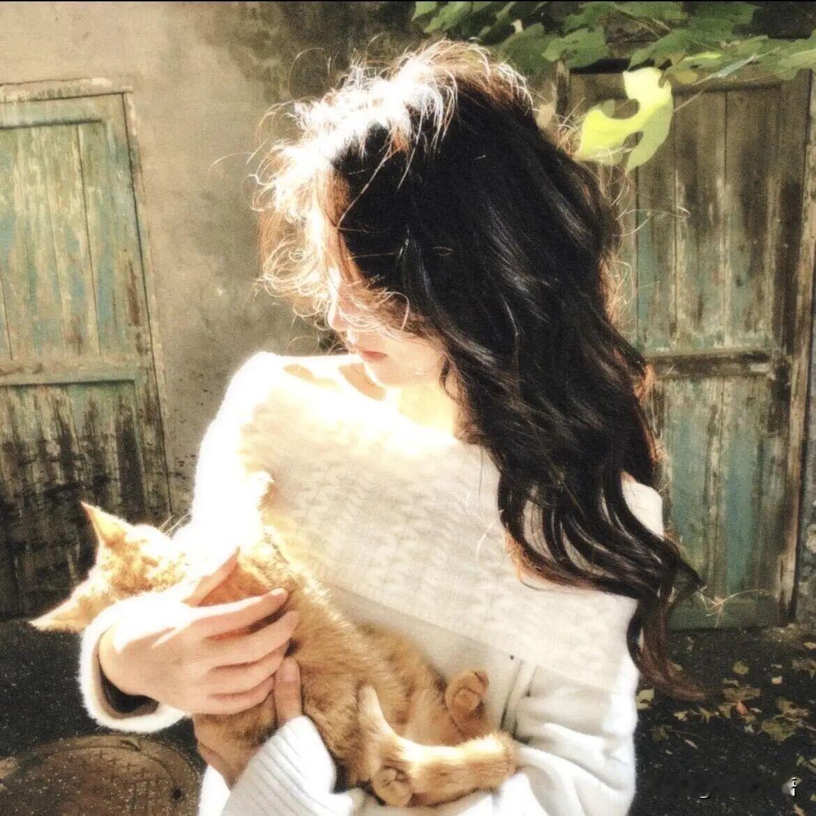 旅游回来，
我开始沉下心看书、思考。

从前总在向下兼容，觉得累又委屈。
能解决