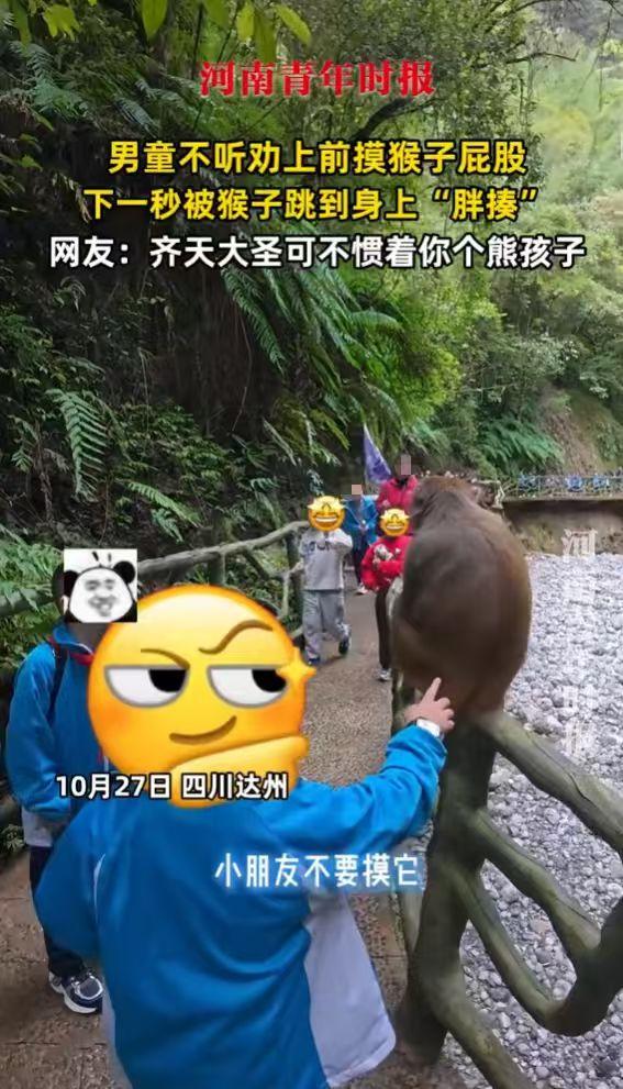 “这下后悔了吧！”10月27日，四川达州，一男孩爬山时遇到猴子，不顾导游劝阻上前