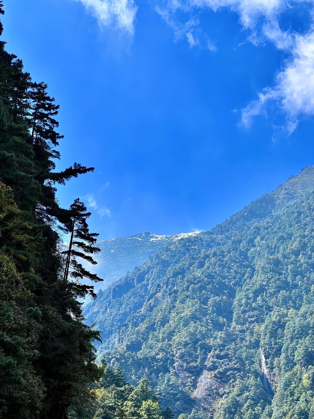 看到大理苍山小孩走丢一事，让我想起来10年前，我们4个人去苍山，在山里迷路，差点