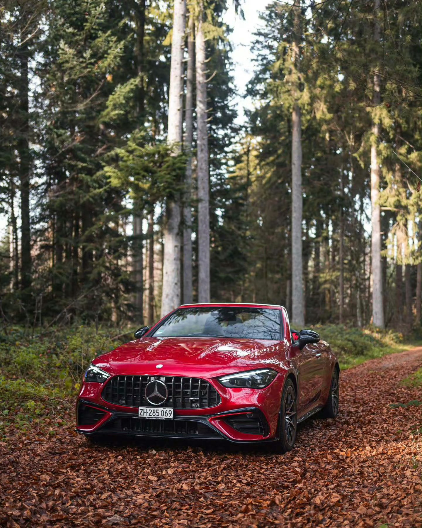 梅赛德斯-AMG CLE 53 Cabriolet 